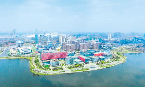 圖讀2021年成都市產業生態圈規劃——計算機網絡技術開發領域重點解析